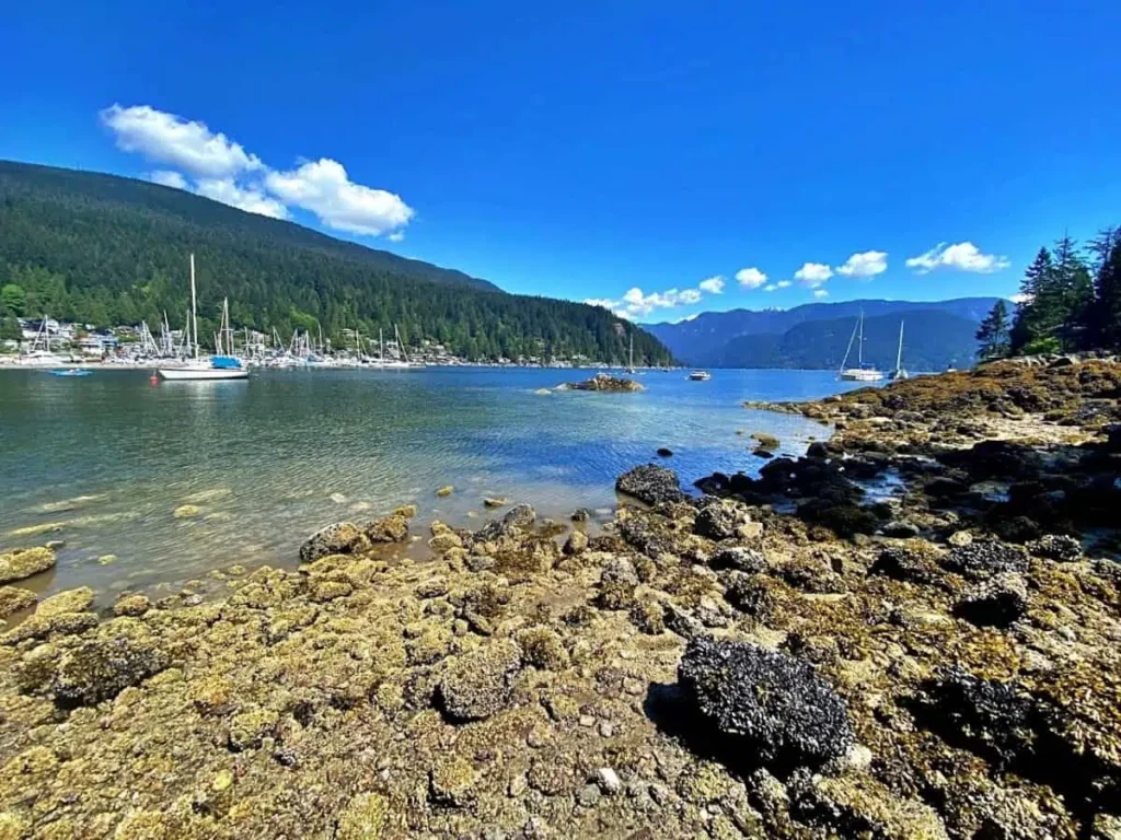 view of water in deep cove british columbia
