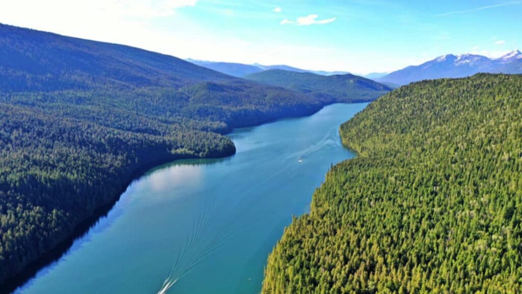 boat on lake surrounded by forest