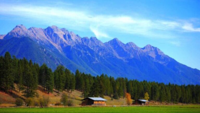 Cranbrook BC