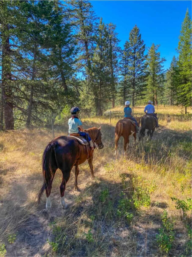 horseback riding