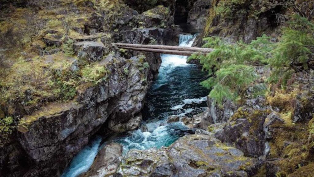 waterfalls in rocks with a log bridge