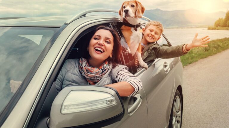 Victoria to Tofino: Epic Vancouver Island Road Trip