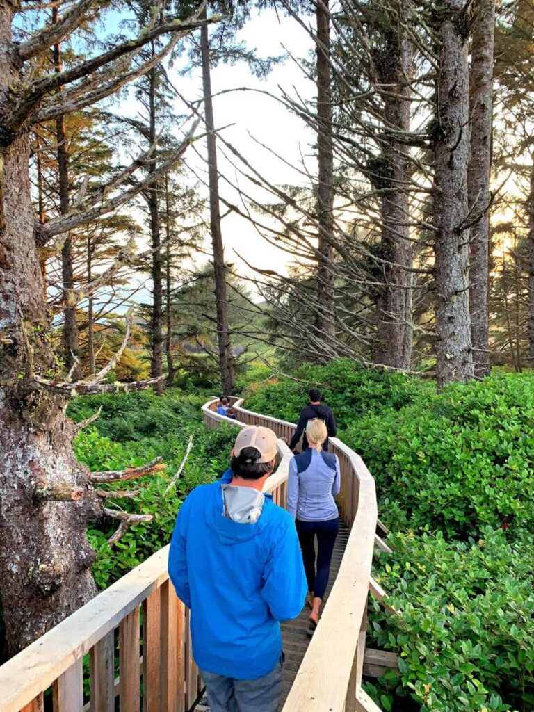 people on forest boardwalk in tofino