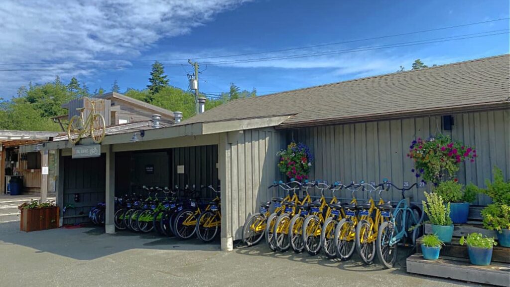 Bike rentals