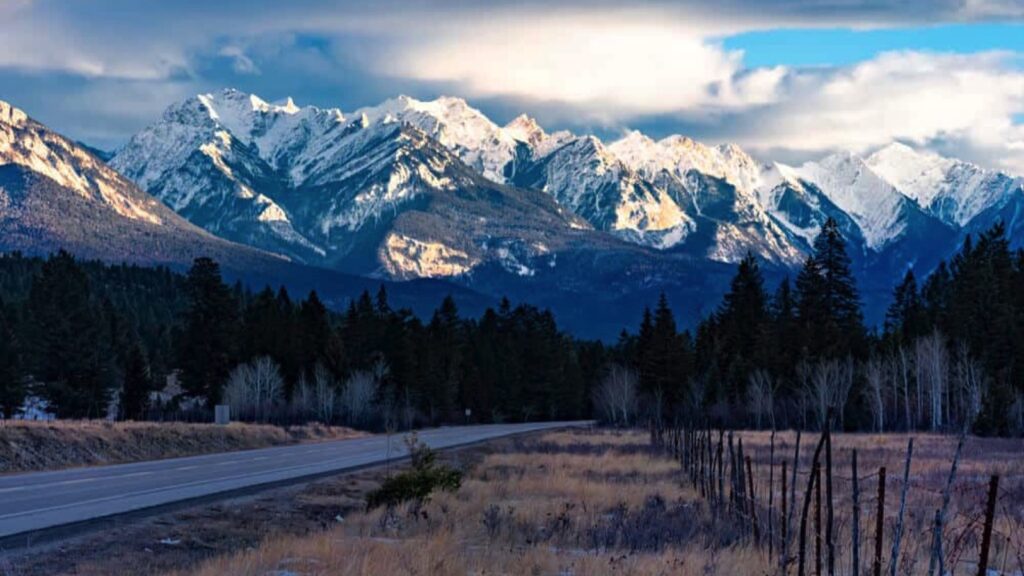 cranbrook