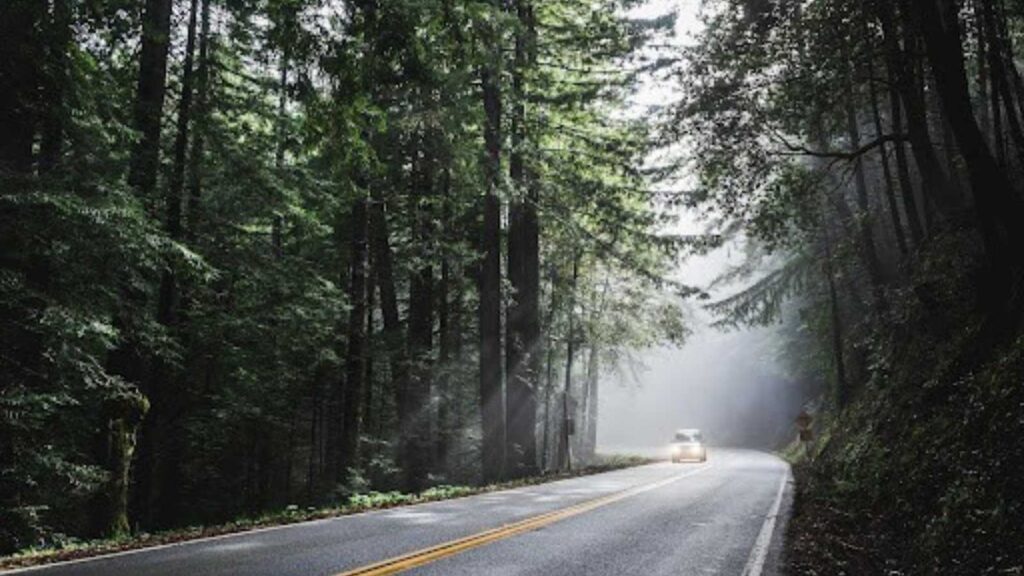 drive from victoria to tofino