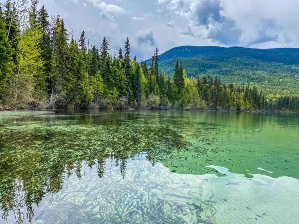 crystal clear water at Johnson Lake BC