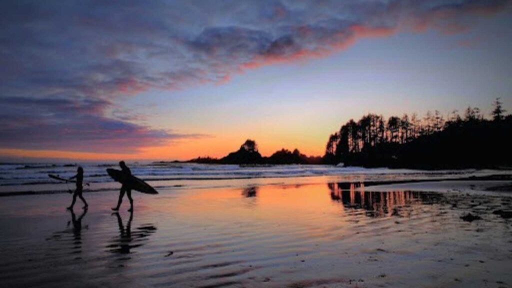 surfers walking on beach at sunset