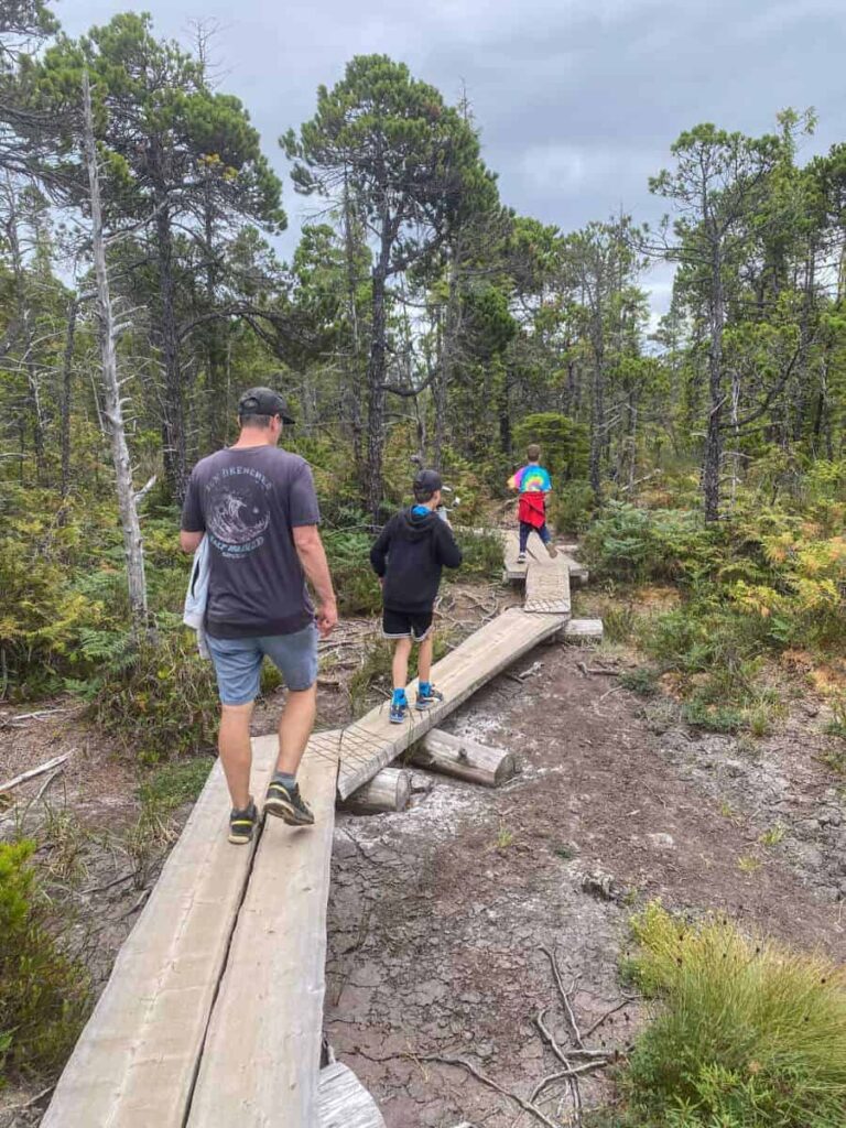 father and sons on boardwalk in forest