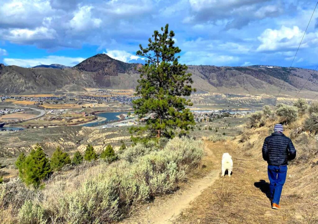 Rosehill Ridge Trail