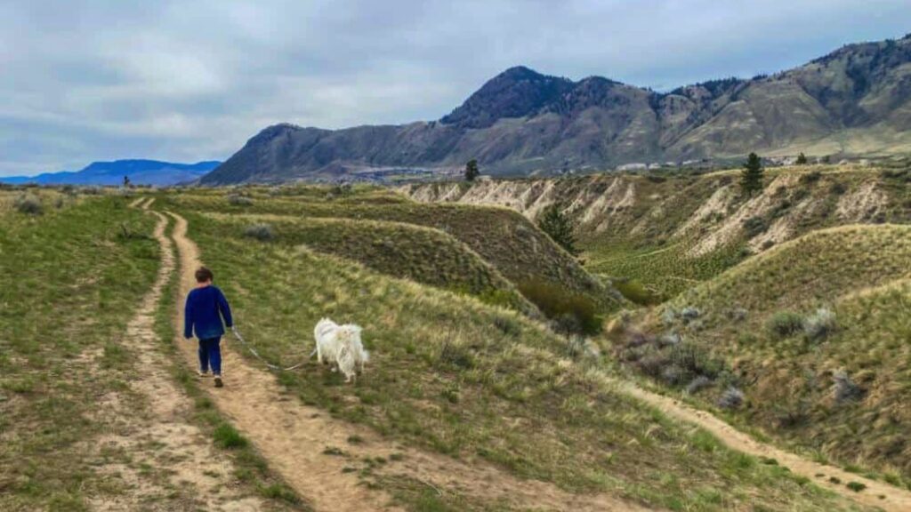 boy walking dog