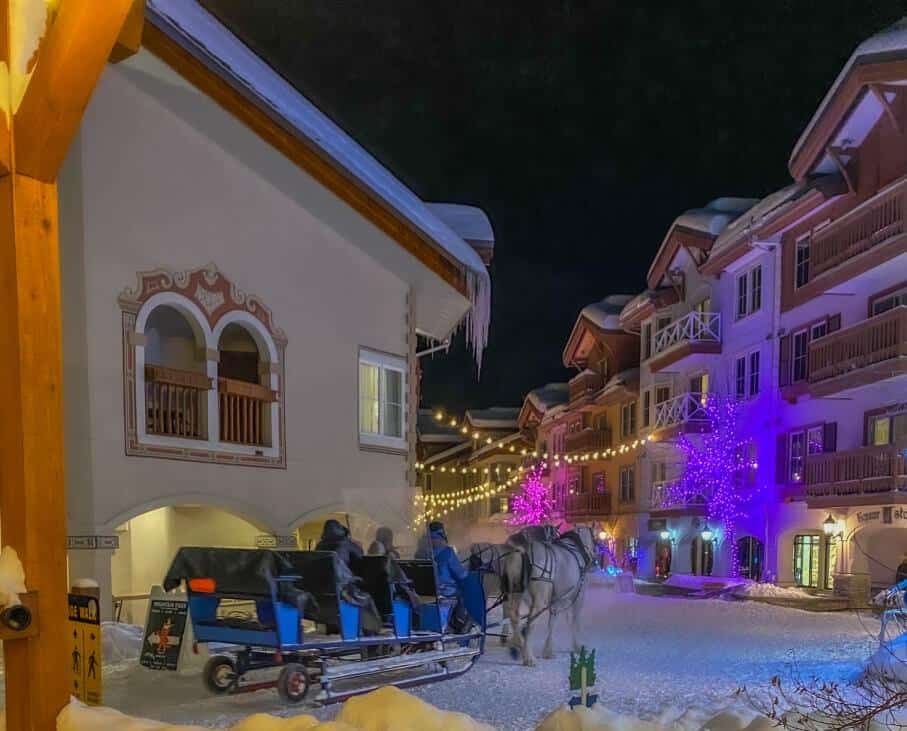 horse carriage ride