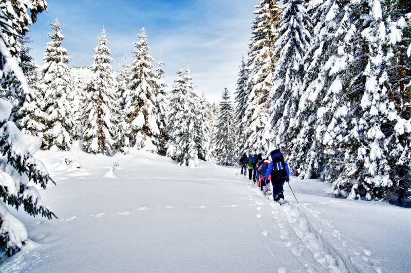 people snowshoeing