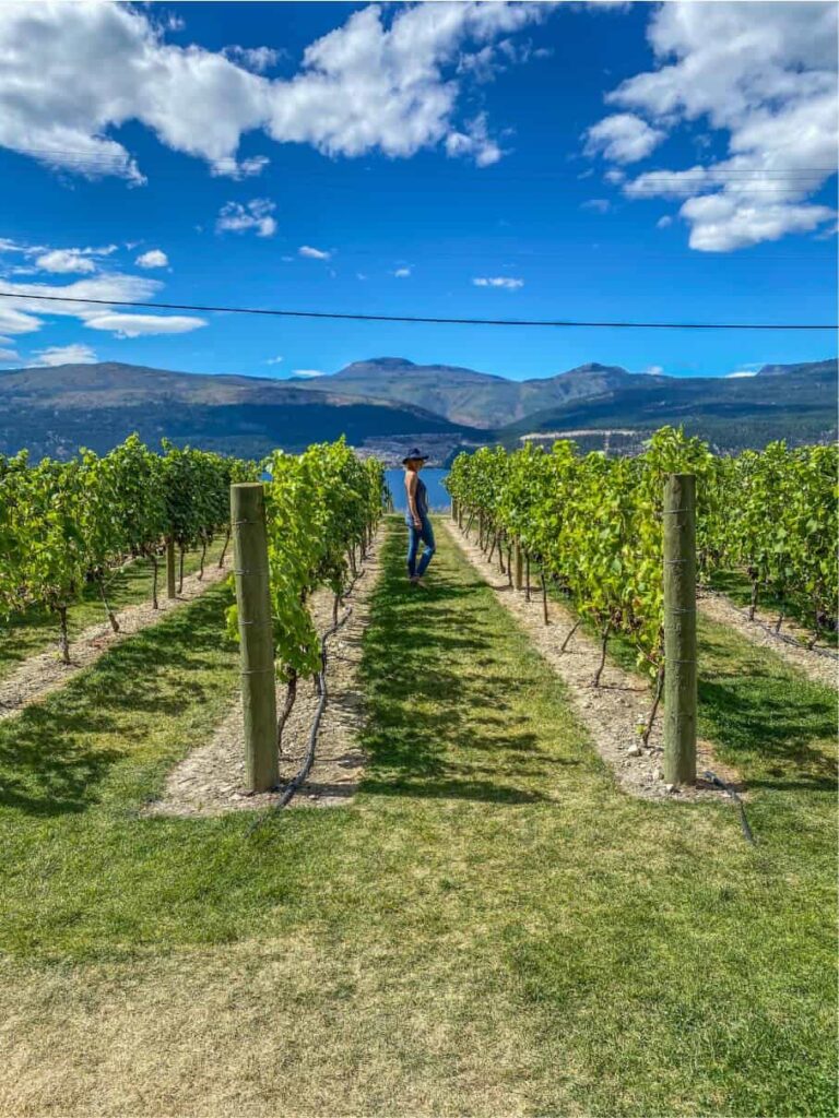 walking through the vineyards