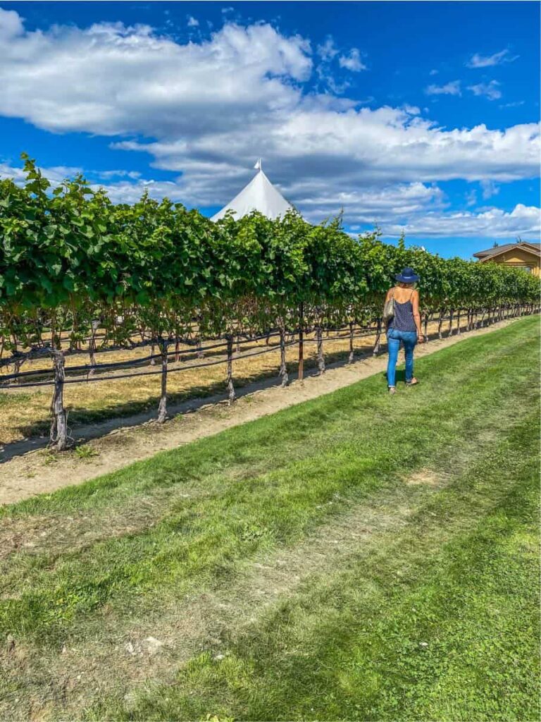 walking through vineyards